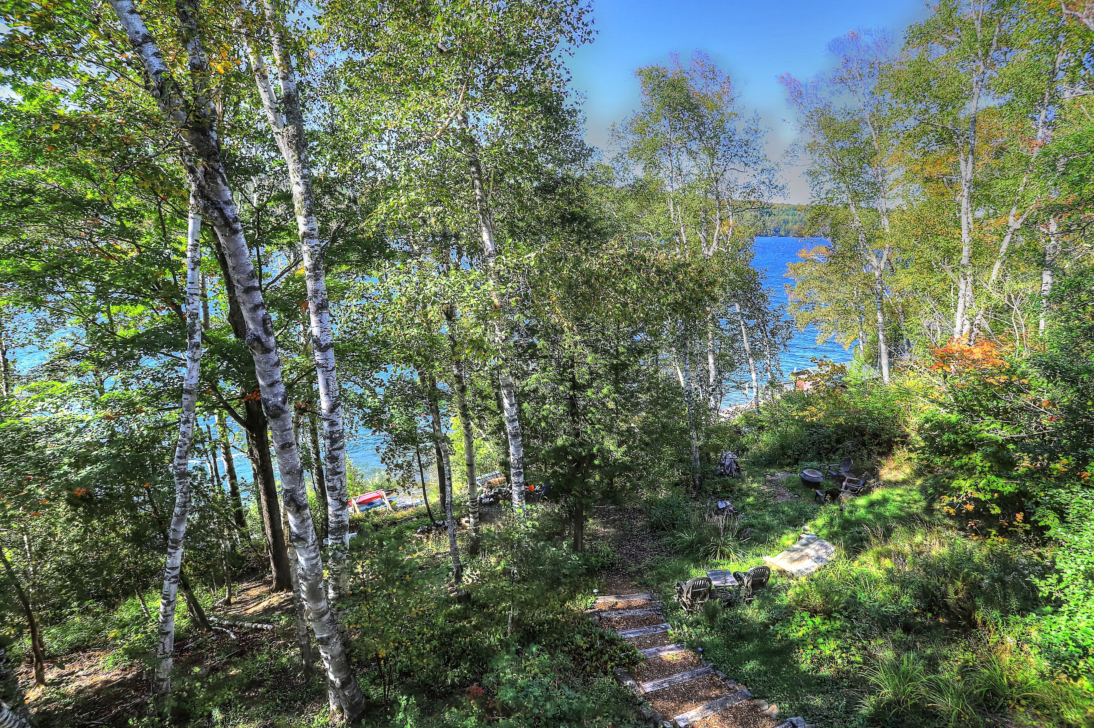 Une zone boisée offrant une vue dégagée sur un lac en arrière-plan.