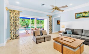 تلفزيون ذكي، مدفأة، مشغل دي في دي، ستيريو