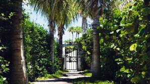 A pathway flanked by tall palm trees leading to a gated entrance. - Luxury Beach Retreat - 200 Steps to Beach - Heated Pool, Spa & Elevator (Jupiter)