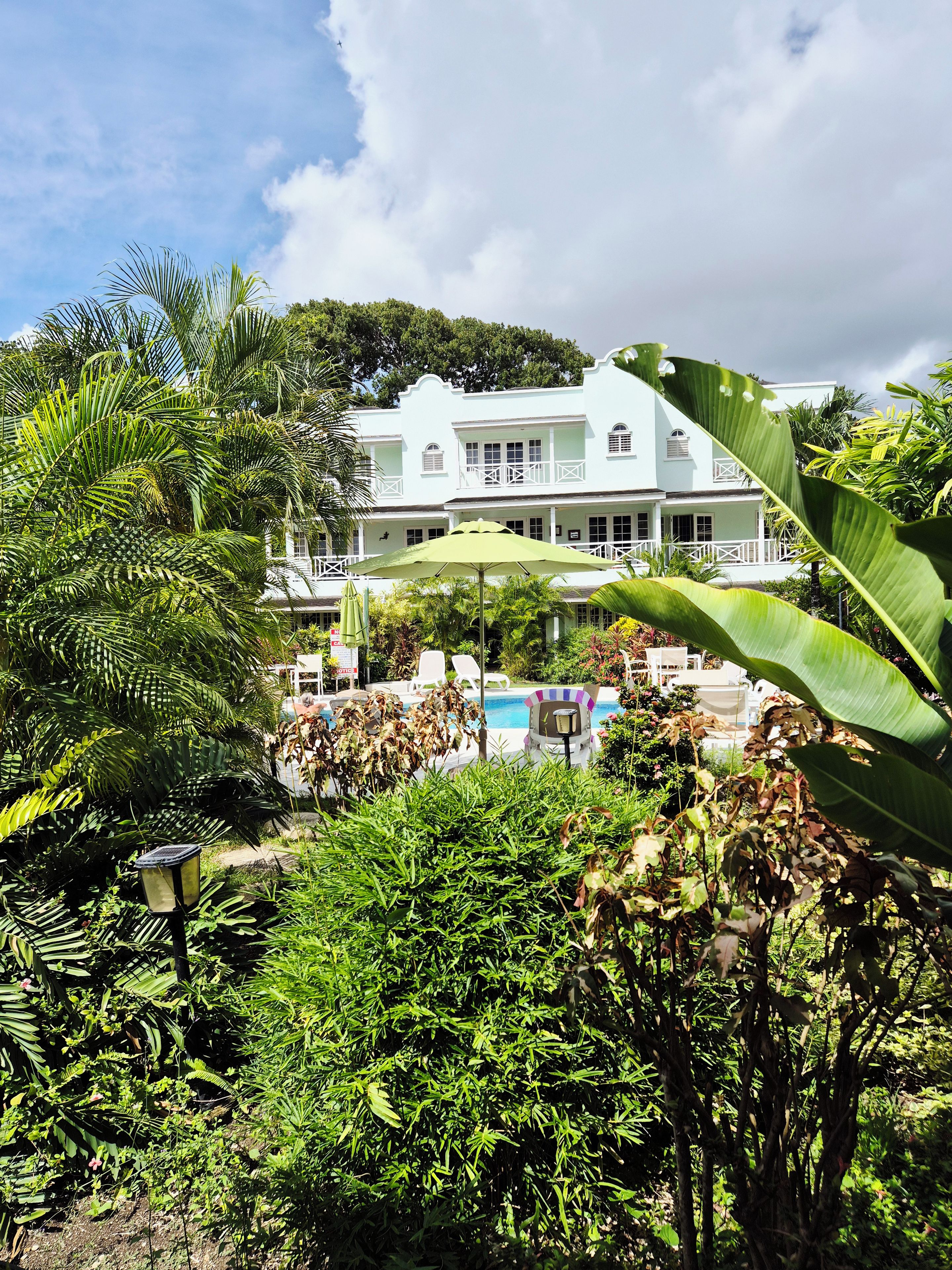 Un edificio blanco con piscina y sillones de descanso, rodeado de exuberante vegetación tropical.