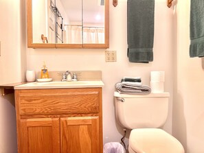 Ensemble douche/baignoire, sèche-cheveux, serviettes fournies, savon