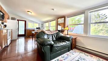 Smart TV, DVD player, books, stereo