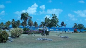 Ein tropisches Resort mit Rasenfläche, Palmen und Strandstühlen.