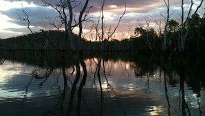 A calm body of water with reflections of bare trees and a cloudy sky.