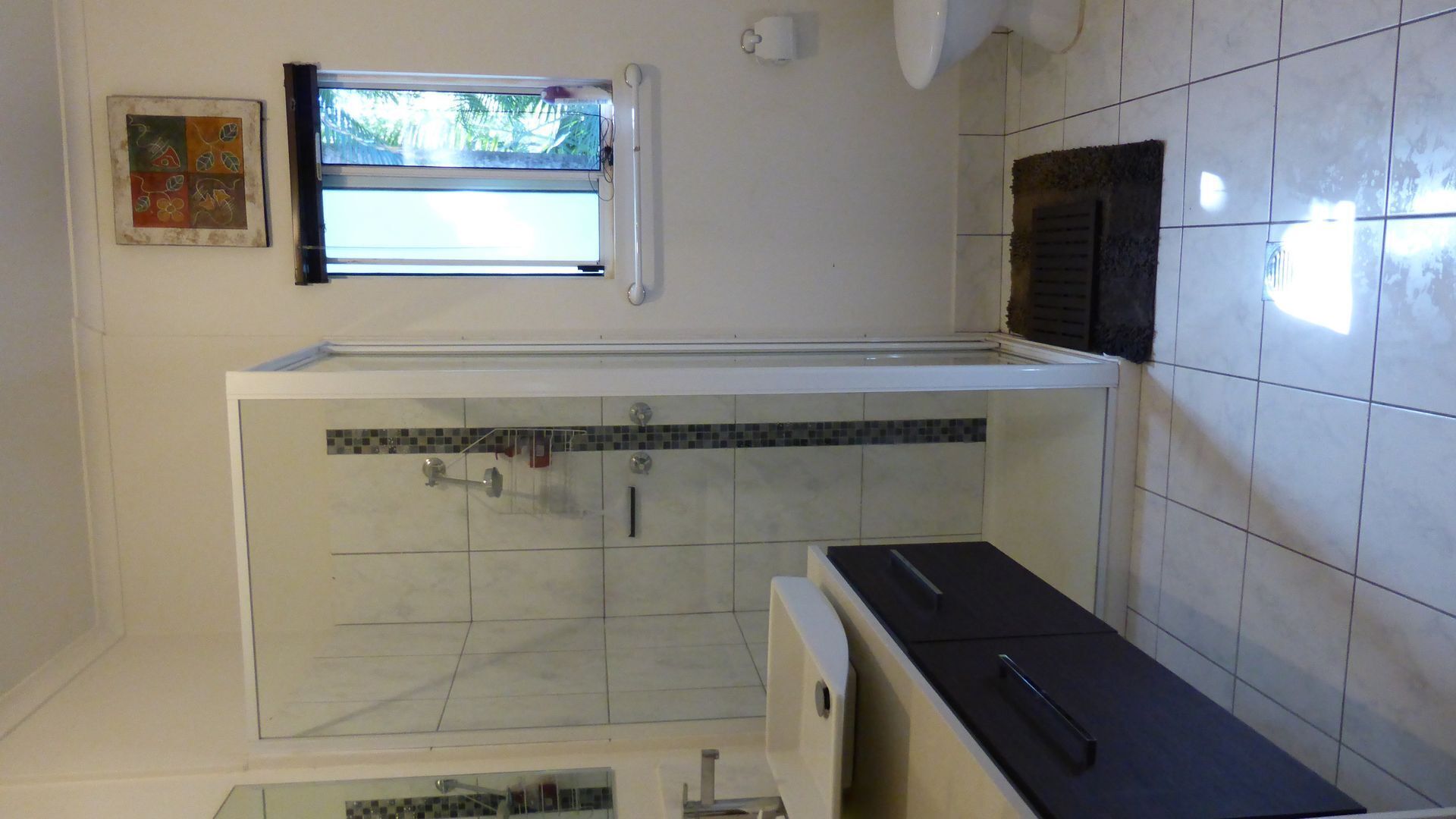 Shower, hair dryer, bidet, soap