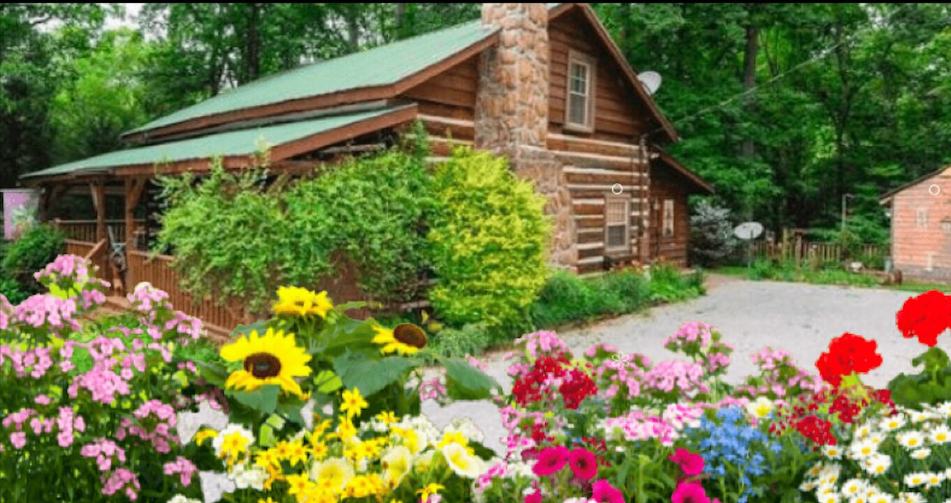 HONEYSUCKLE  HIDEAWAY  A private mountain cabin!