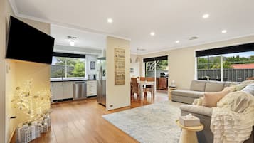 TV, video games, DVD player, books