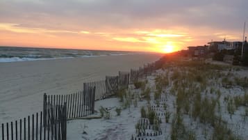 Plage à proximité, chaises longues, serviettes de plage