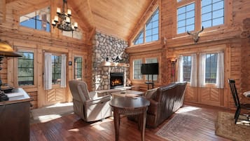 TV, fireplace, DVD player, books