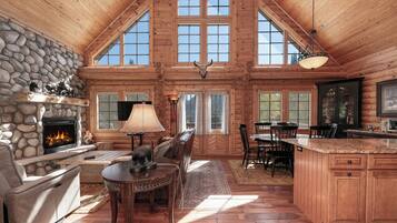 TV, fireplace, DVD player, books