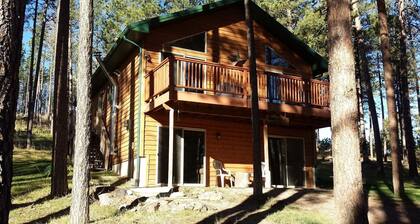 Modern Black Hills home nestled in the pines near beautiful Pactola Lake