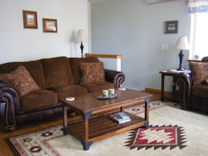 TV, DVD player, books, video library
