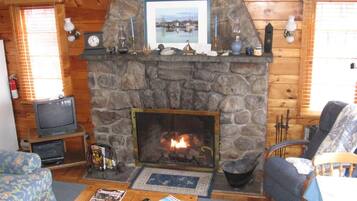 TV, fireplace, DVD player, books