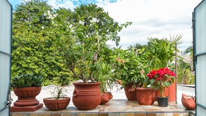 Un balcon agrémenté de plantes en pot, offrant une vue sur les arbres et le ciel.