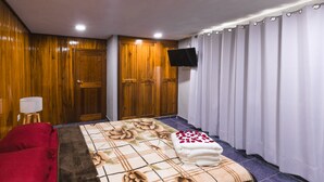 Une chambre à coucher comprenant un lit, un canapé rouge, une armoire en bois, un téléviseur à écran plat et une salle de bain avec un rideau de douche.