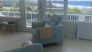 Smart TV, DVD player, books, video library