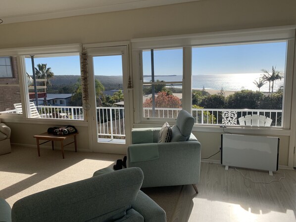 Smart TV, DVD player, books, video library