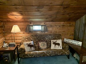 Televisión de pantalla plana, chimenea, reproductor de DVD y libros 