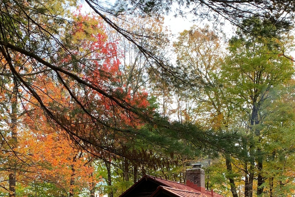 Charming Traditional Log Cabin In Between Mt. Snow And Stratton with Sauna/WIFI