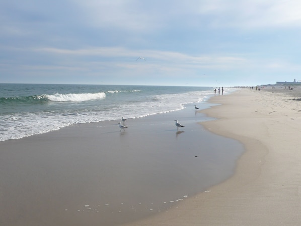 Una spiaggia nelle vicinanze, lettini da mare