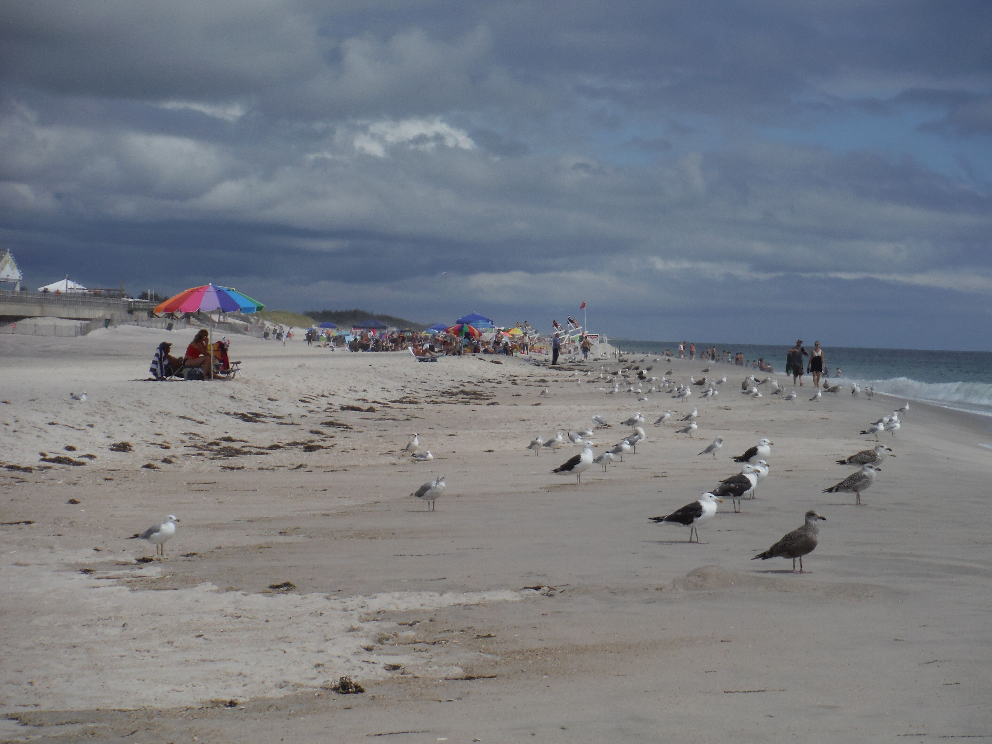 بالقرب من الشاطئ، كراسي للتشمس