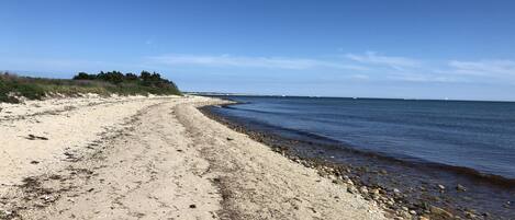 Plage à proximité, chaises longues, serviettes de plage