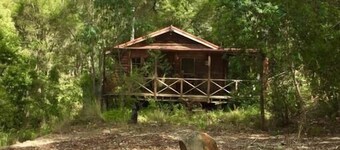 The Lilypond - a beautiful escape with log fire & spa bath surrounded by nature.