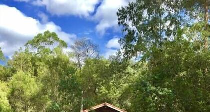 The Lilypond - a beautiful escape with log fire & spa bath surrounded by nature.