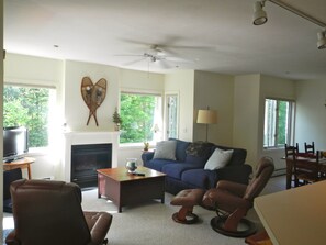 Smart TV, fireplace, DVD player