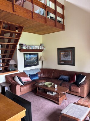 Téléviseur connecté, foyer, lecteur de DVD, livres