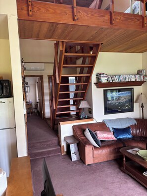 Smart TV, fireplace, DVD player, books