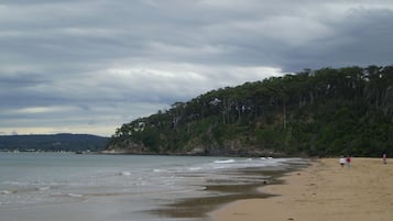 Una spiaggia nelle vicinanze