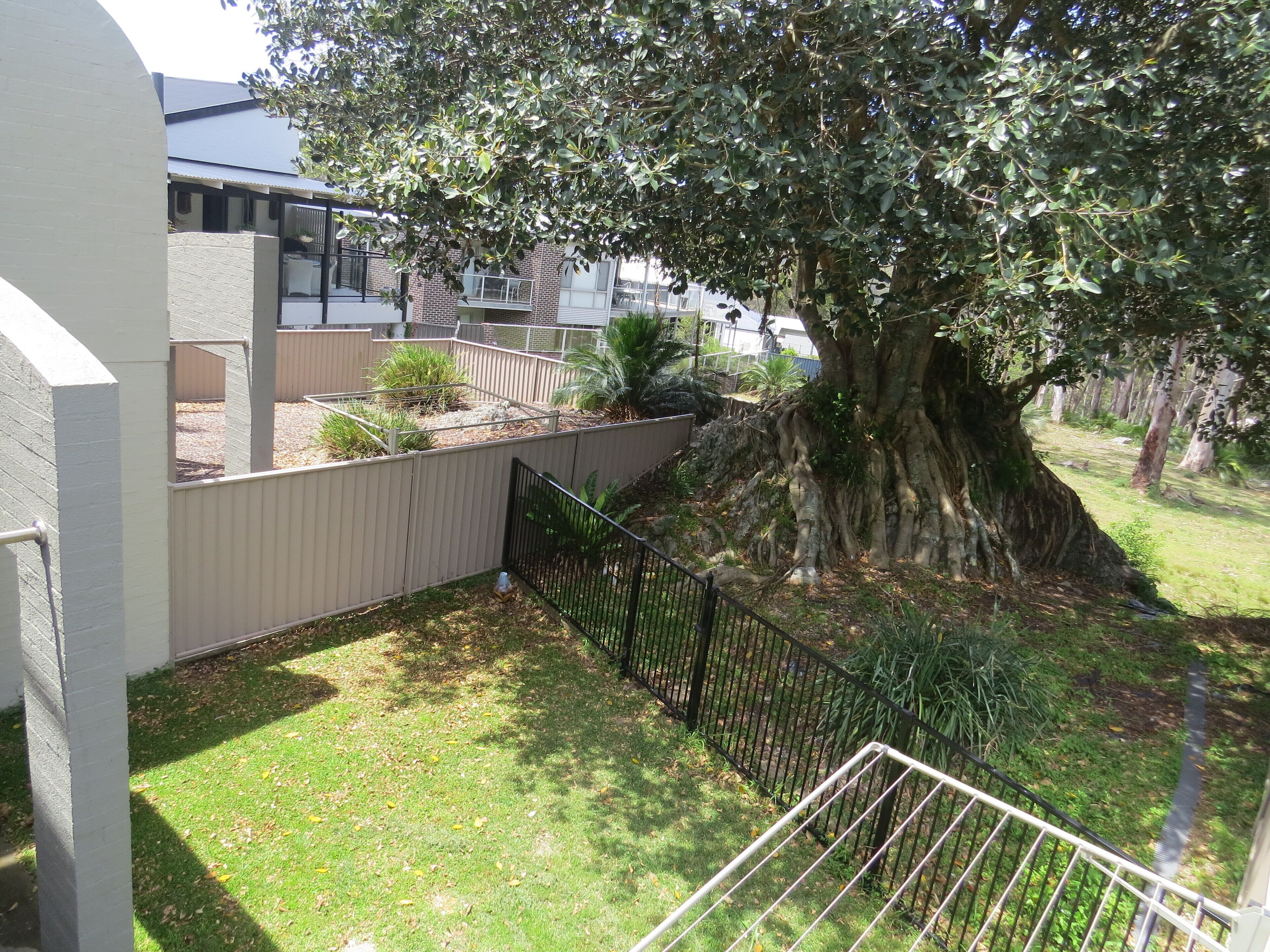 A residential area with a large tree, a fenced yard, and a building with a sloped roof.