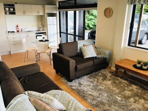 TV, fireplace, DVD player, books