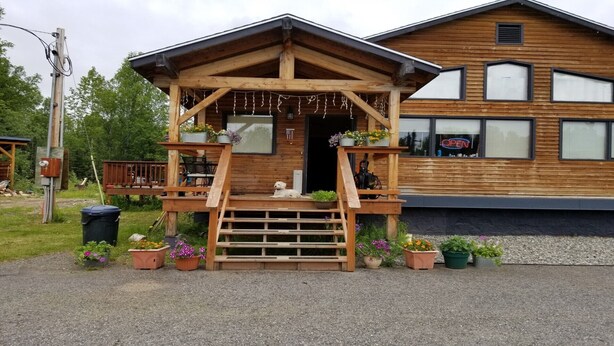 Una cabaña de madera con un porche, un perro y plantas en macetas.