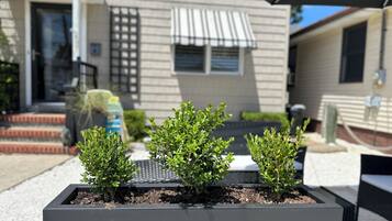 A patio area with three potted plants in front of a house.