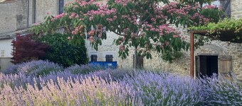 Luxurious Peacefulness For 16 With 7 Bedrooms, 7 Bathrooms And Large Pool