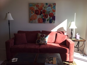 TV connectée, cheminée, lecteur de DVD, livres