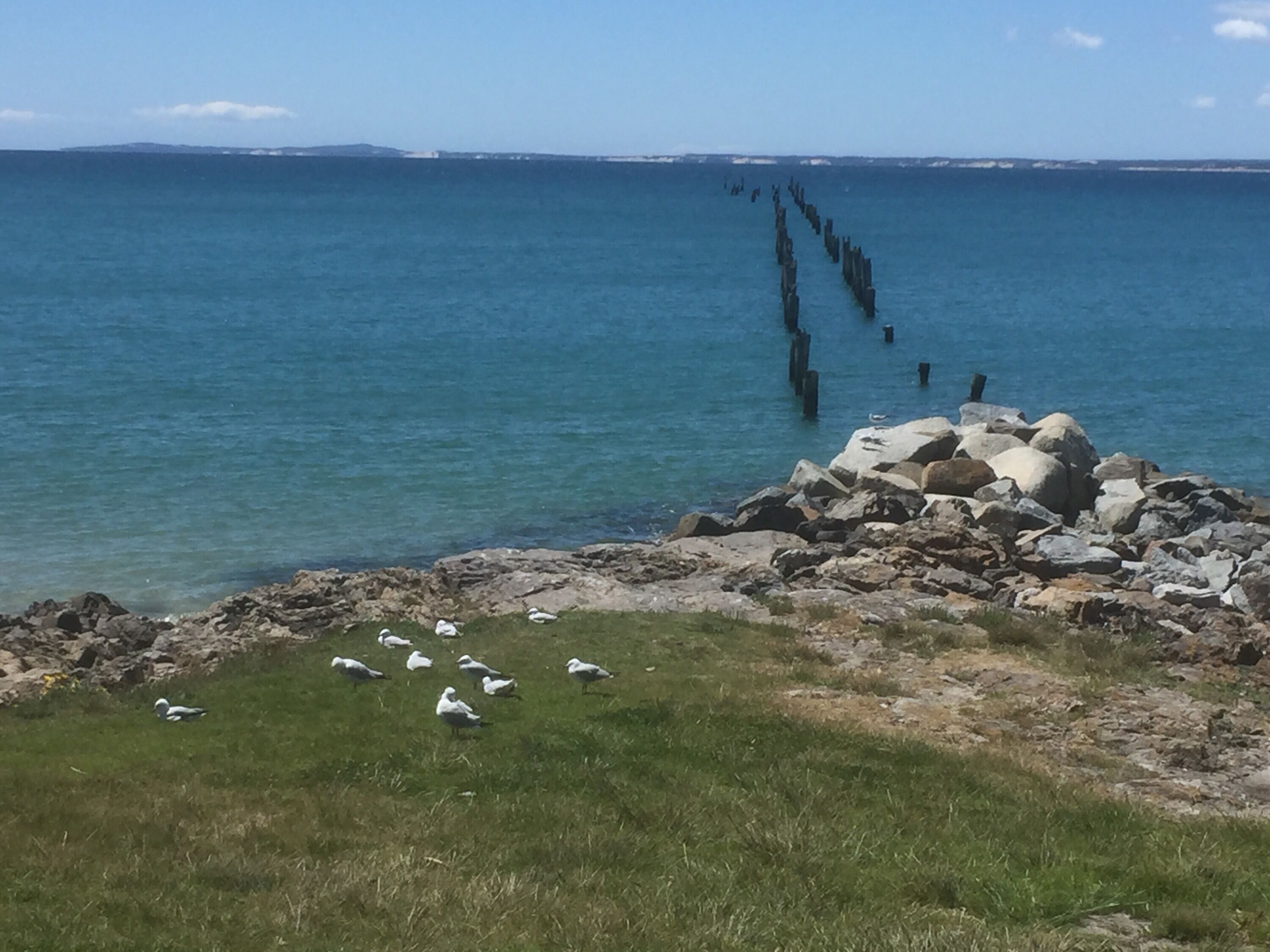 Bridport Old Pier 2 bedroom apartments 1-3. Full kitchen Pet friendly on request — image 8