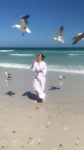 Una spiaggia nelle vicinanze, lettini da mare