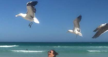 Louer belle 2 chambre apt Ă un tribunal Fort Beach.