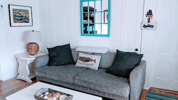 Smart TV, DVD player, books, video library