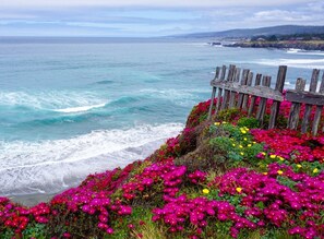 På stranden, solsenger og strandhåndklær