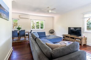 TV, video game console, Netflix, books