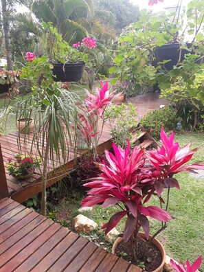 Área da propriedade