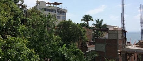 A coastal building with a rooftop terrace, surrounded by lush greenery and palm trees.