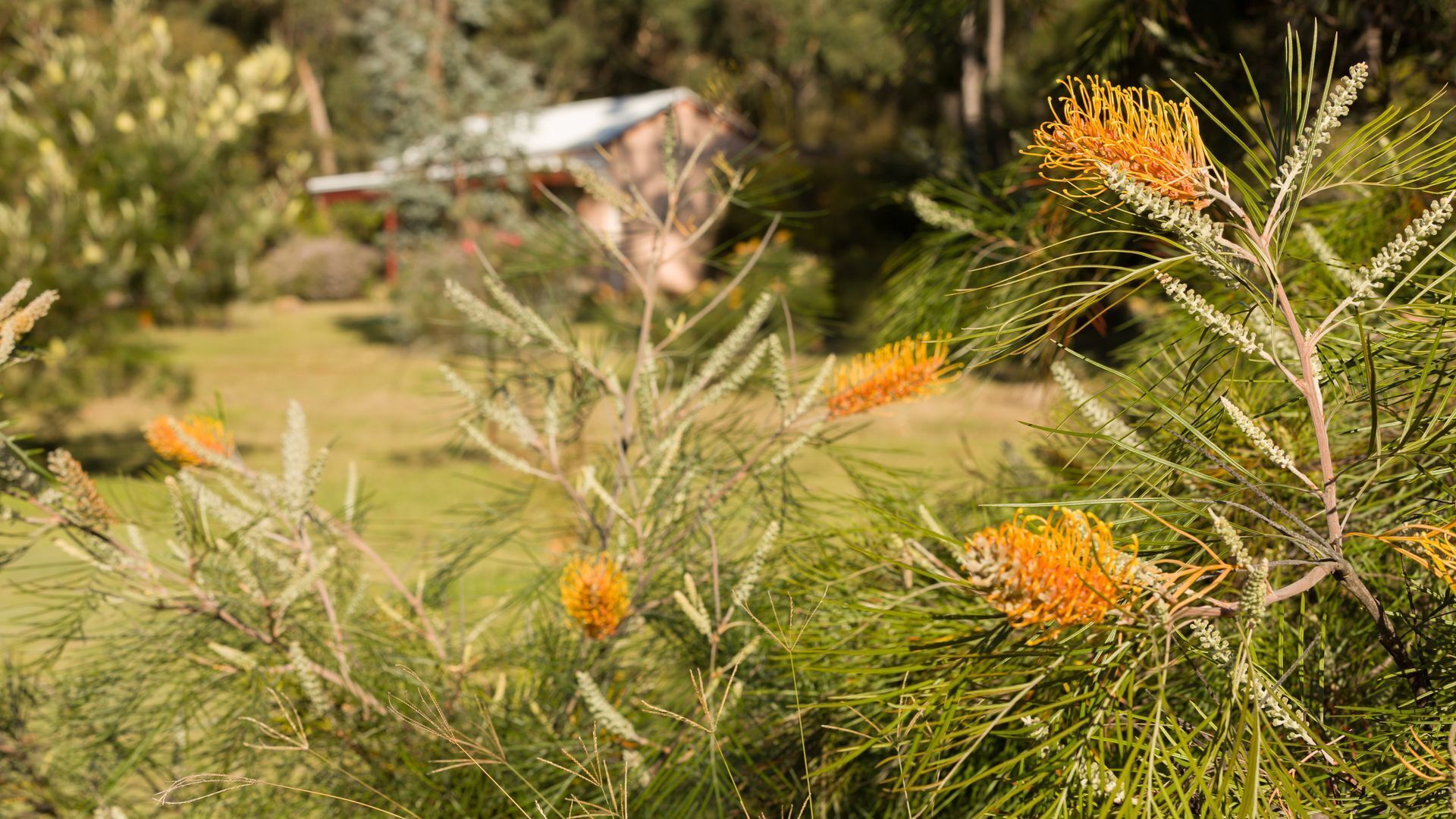 Sutherland cottage - vineyard getaway — image 8