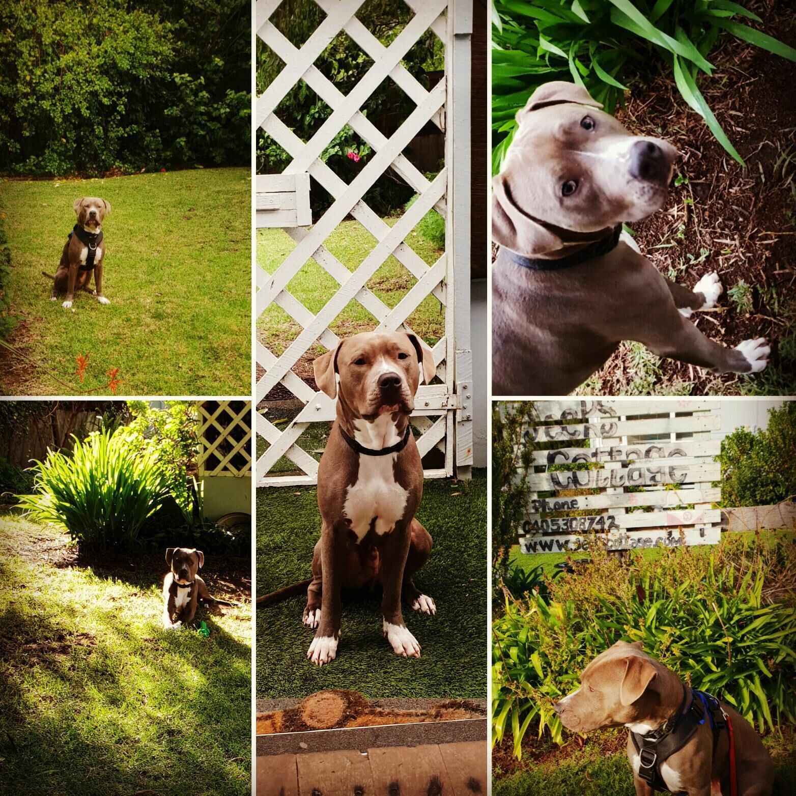 Jecks Beachside accomodation — image 12