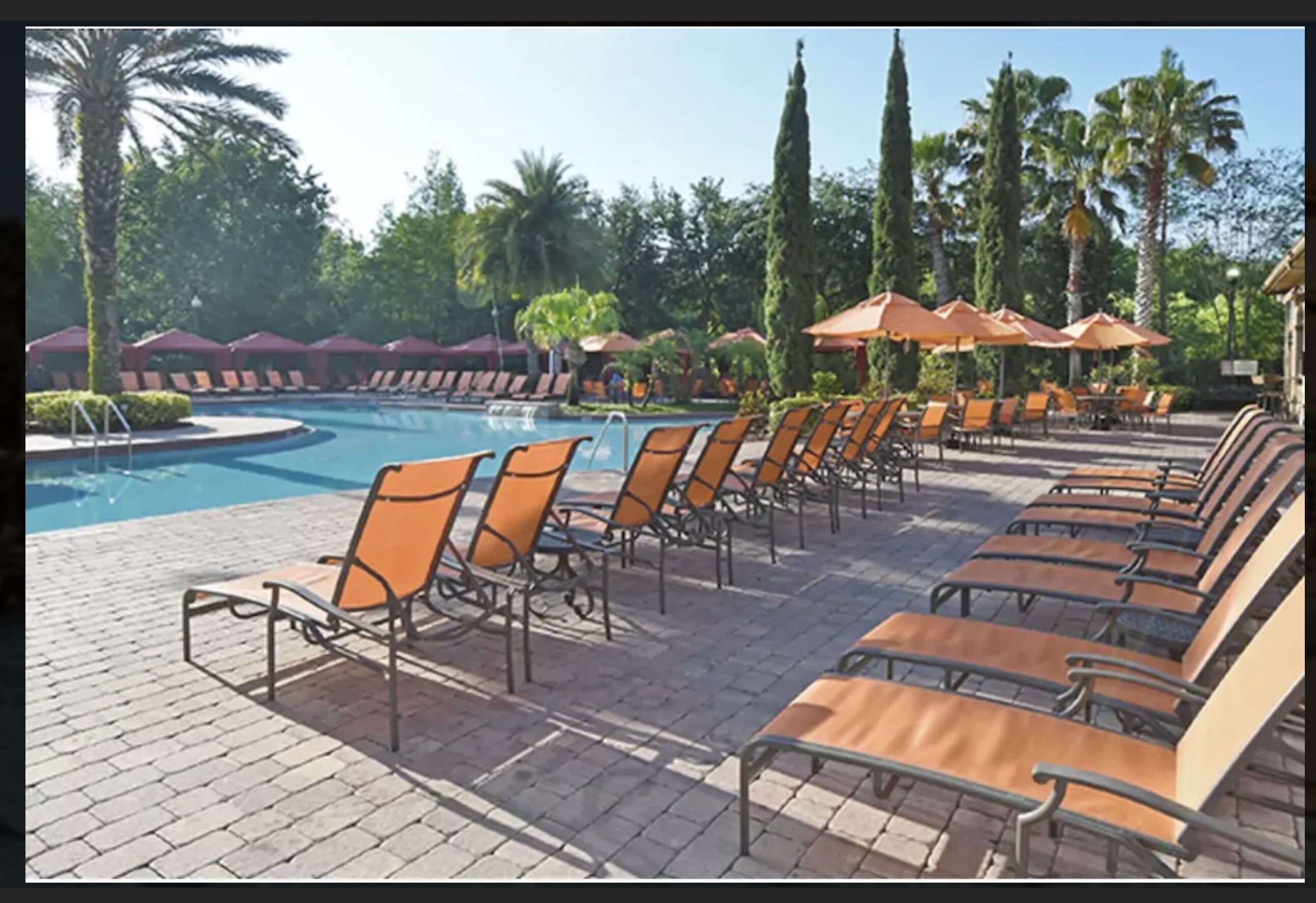 Zona junto a la piscina con sillones de descanso y sombrillas, rodeada de palmeras y un cielo despejado.