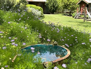 Property grounds - Coral Fern Retreat - bush paradise (free wifi) (Forrest)